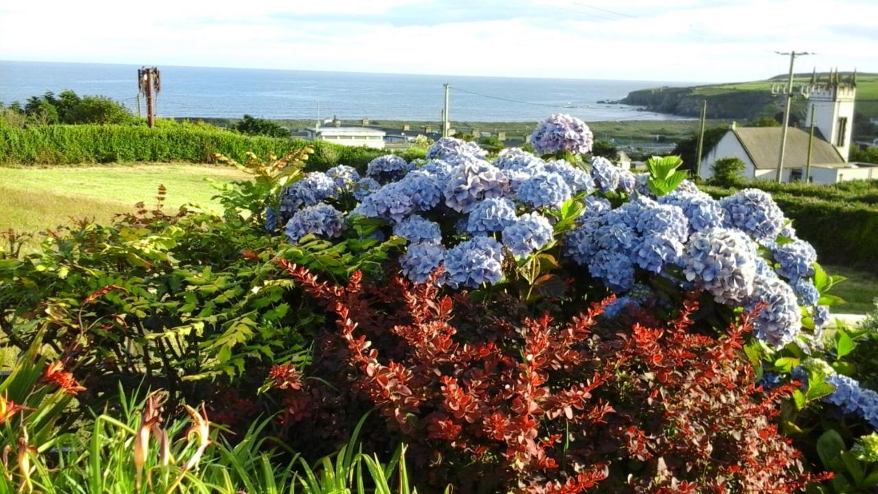 Copperfield House B & B Bunmahon Exterior photo